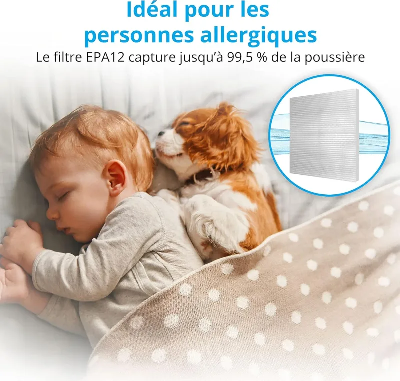 Aspirateur traîneau sans sac 2,5 L pour professionnels - TAURUS